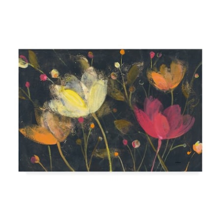 Albena Hristova 'Moonlight Garden Ii' Canvas Art,16x24